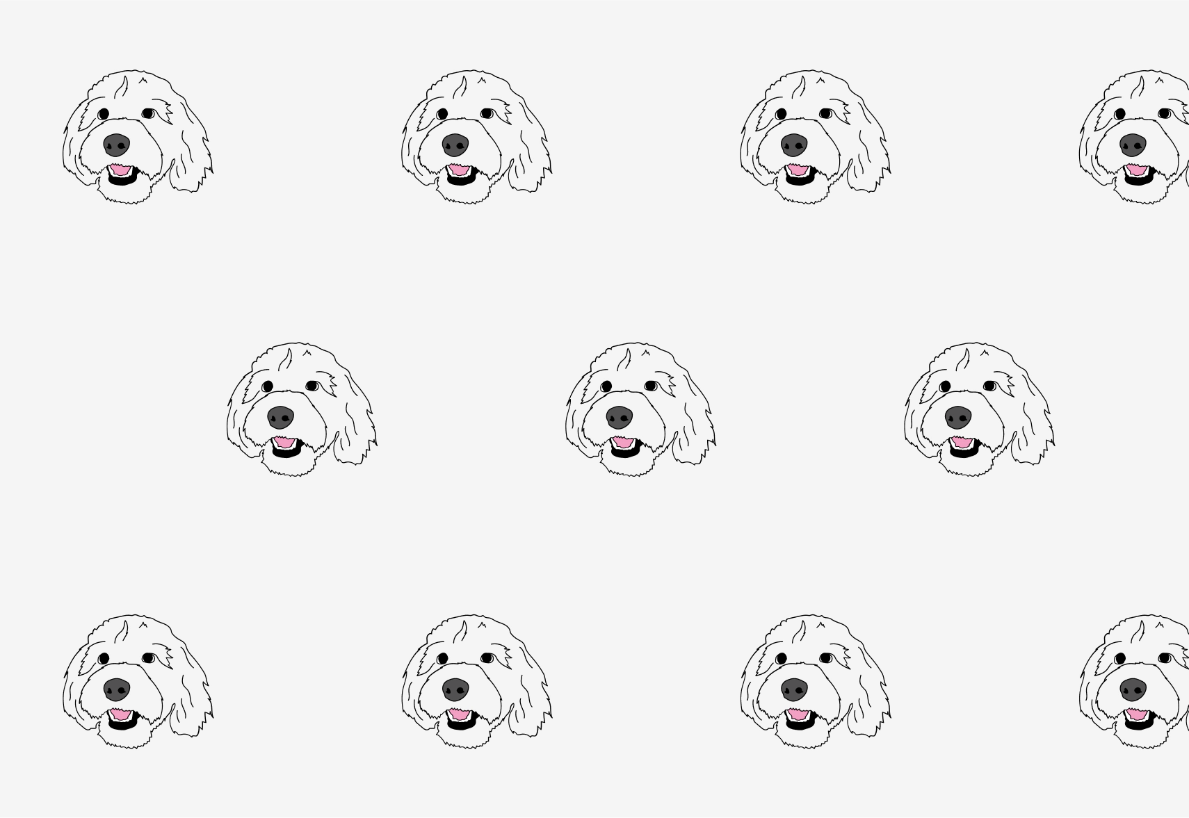 Cockapoo Pet Insurance Fetch Pet Insurance